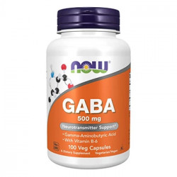 Gaba 750mg 100 Vcaps